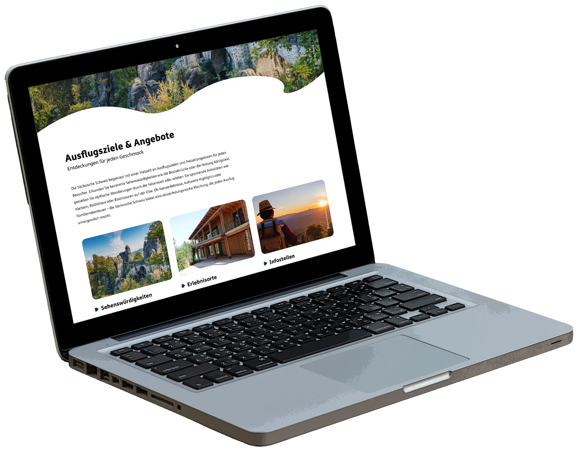 Webdesign und -entwicklung made by Feuerpanda Werbeagentur Dresden